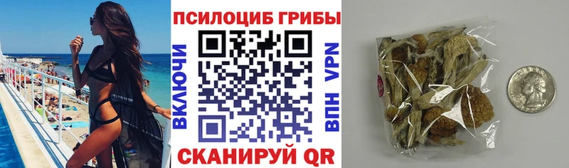 это наркотические препараты  Бронницы  Галлюциногенные грибы мухоморы 